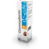 ICF Industria Icf clorexyderm 4% soluzione schiuma 100 ml
