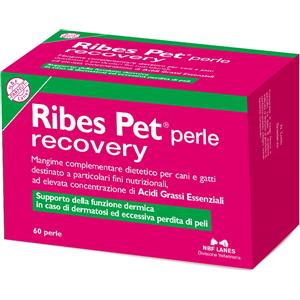 Ribes Pet Perle | Cos'è? A Cosa Serve? Fa Male? Uso e Opinioni