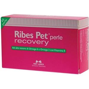n.b.f. lanes srl ribes pet recovery blister 60 perle