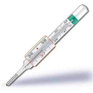 Pic Termometro clinico VedoEcoplus