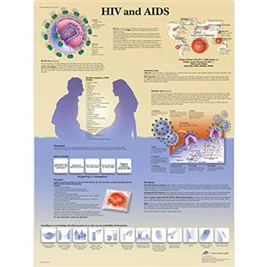3B Scientific Anatomia umana - Grafico HIV e AIDS, Versione cartacea