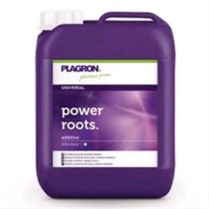 plagron power roots 5l