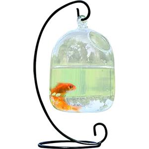 MISNODE Vaso da appendere in vetro con supporto, vaso creativo per pesci rossi in vetro trasparente, ciotola per pesci rossi, piccola ciotola per pesci betta, decorazione da scrivania