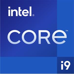 Intel Cpu Intel Core i9 Processore i9-13900K 3.00Ghz LGA1700 36M Raptor Lake Box [BX8071513900K]