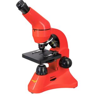 BEBANG 100X-2000X Microscopio per Bambini Adulti, Microscopio