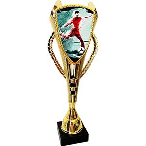 Larius Trofeo - Pallone da calcio per trofeo (30 cm), motivo: principe delle portiere (campione di calcio, senza testo desiderato)