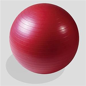 Fitness Deluxe Palla Fitball 55 cm