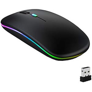 GeekerChip Mouse Bluetooth Ricaricabile,Mouse Wireless Silenzioso,Mouse Senza Fili a Due Modalità (Bluetooth 5.1+2.4G),3 Livelli DPI(800/1200/1600) Regolabili per PC(Nero)