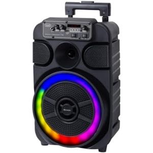 Trevi XFest XF 460 KB Altoparlante Amplificato 40W, Cassa Wireless Portatile con Microfono Incluso per Karaoke, Presa USB, Micro SD, AUX-IN, TWS, Batteria Integrata