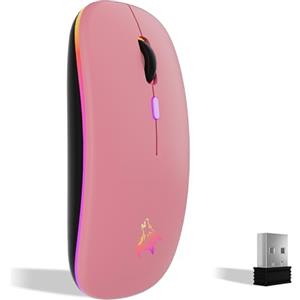 TQQ Mouse wireless ricaricabile, mouse retroilluminato a 7 colori con mini ricevitore USB da 2,4 GHz, mouse gaming, compatibile con laptop, PC, computer, Chromebook, Notebook e iPad Etc