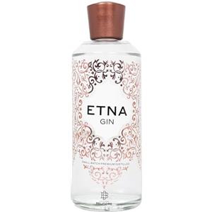 Distilleria Belfiore - Etna Gin, Prodotto in Sicilia con l'Utilizzo di Botaniche Etnee, 40%, Bottiglia in Vetro da 700 ml