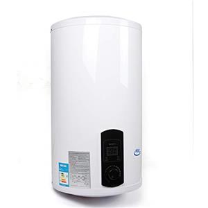GMSLuu Caldaia elettrica per riscaldamento dell'acqua calda Smart Control da parete, scaldabagno elettronico con display digitale per bagno cucina 2 KW 220 V (80 L), BGRSQ100