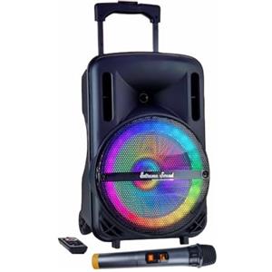 Extreme Sound CASSA PORTATILE Ricaricabile AMPLIFICATA 700 Watt BLUETOOTH RADIO USB - MOVE10