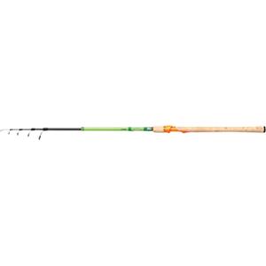 Berkley Flex - Canna da pesca telescopica per trota, pieghevole, portatile, 3,00 m, colore: verde