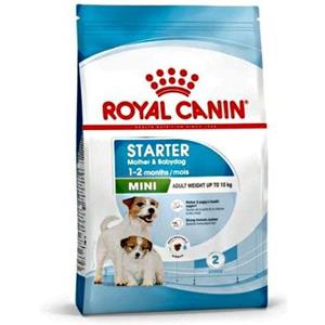 Royal Canin Mini Starter Mother & Babydog - secco 1kg