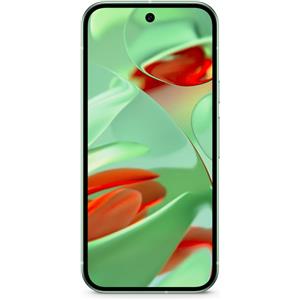 Google Pixel 9 256GB
