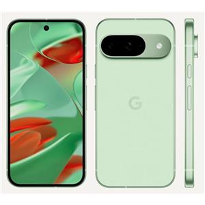 Google Pixel 9 256GB