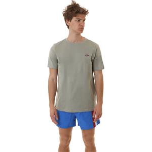 BEAR T-SHIRT SMALL LOGO Manica Corta Uomo
